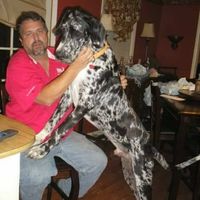 Jeff Duke's profile image
