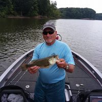 Joseph Bona's profile image