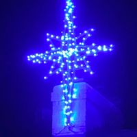 Gayle Gray's profile image