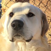 Tracy Minor's profile image