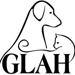 3. Great Lakes Animal Hospital