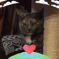 Donna Kellar's profile image