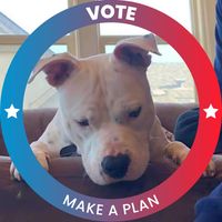 Michal Frye's profile image