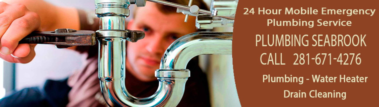 Plumbing Seabrook's cover image