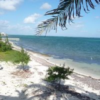 Cindy Donald's profile image