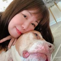 Vivian Lee's profile image