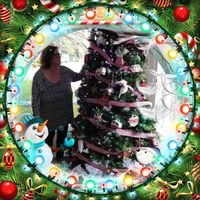 Pattie Tarr's profile image