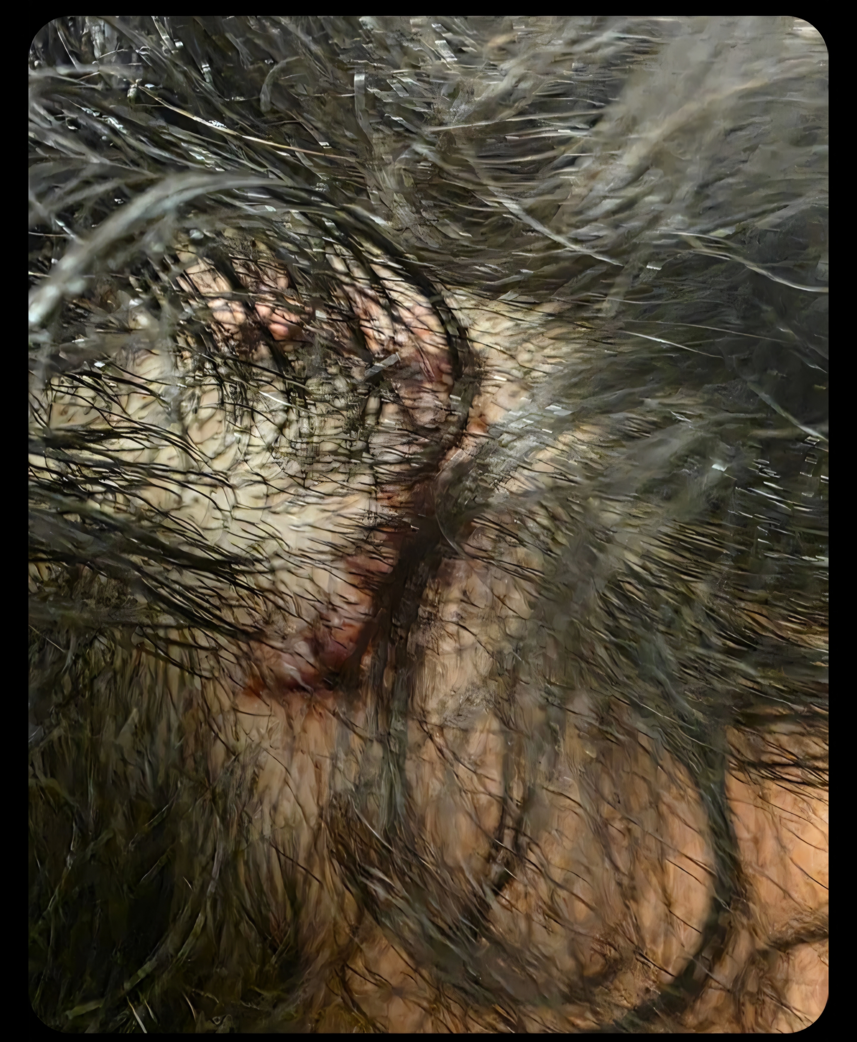 Brandon B.'s post 4