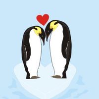 Marion Chalmers Cardoza's profile image