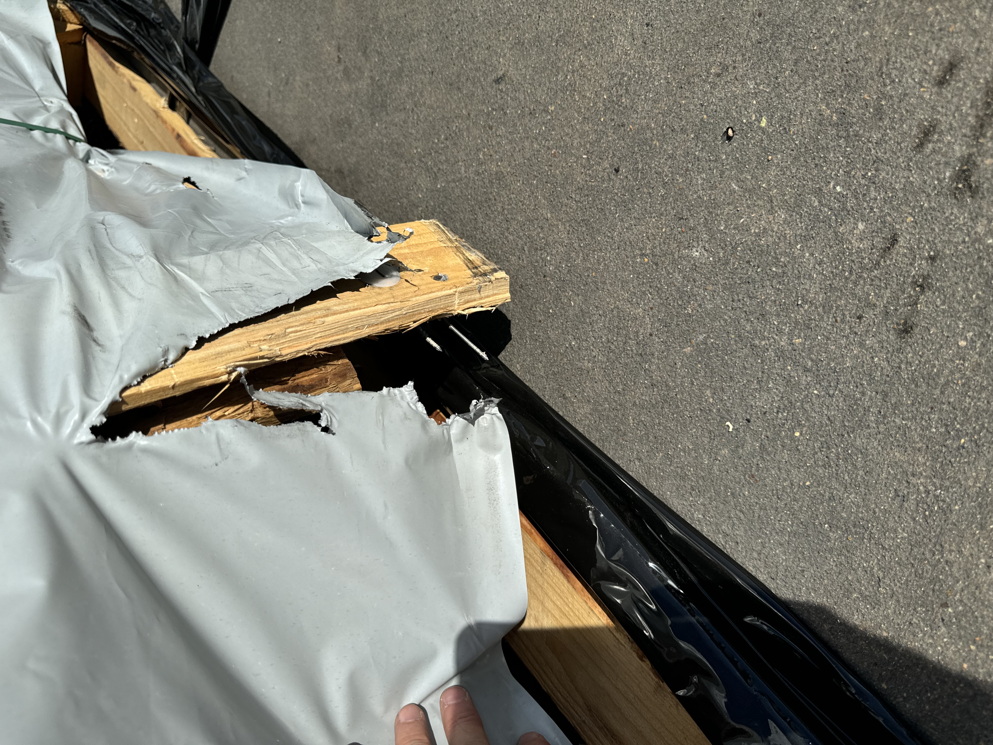 Elizabeth H.'s post 3