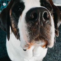 Baylee Scher's profile image