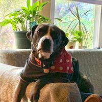 Karen Bortner Kowalski's profile image