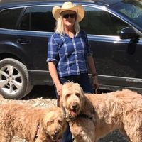 Karen Parnall's profile image