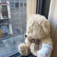 David McComb's profile image