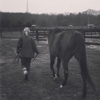 Susan DiRenna's profile image