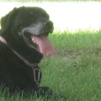 Kathleen Broderick's profile image