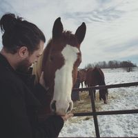 Brian Nelles's profile image