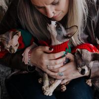 Schells Ann's profile image
