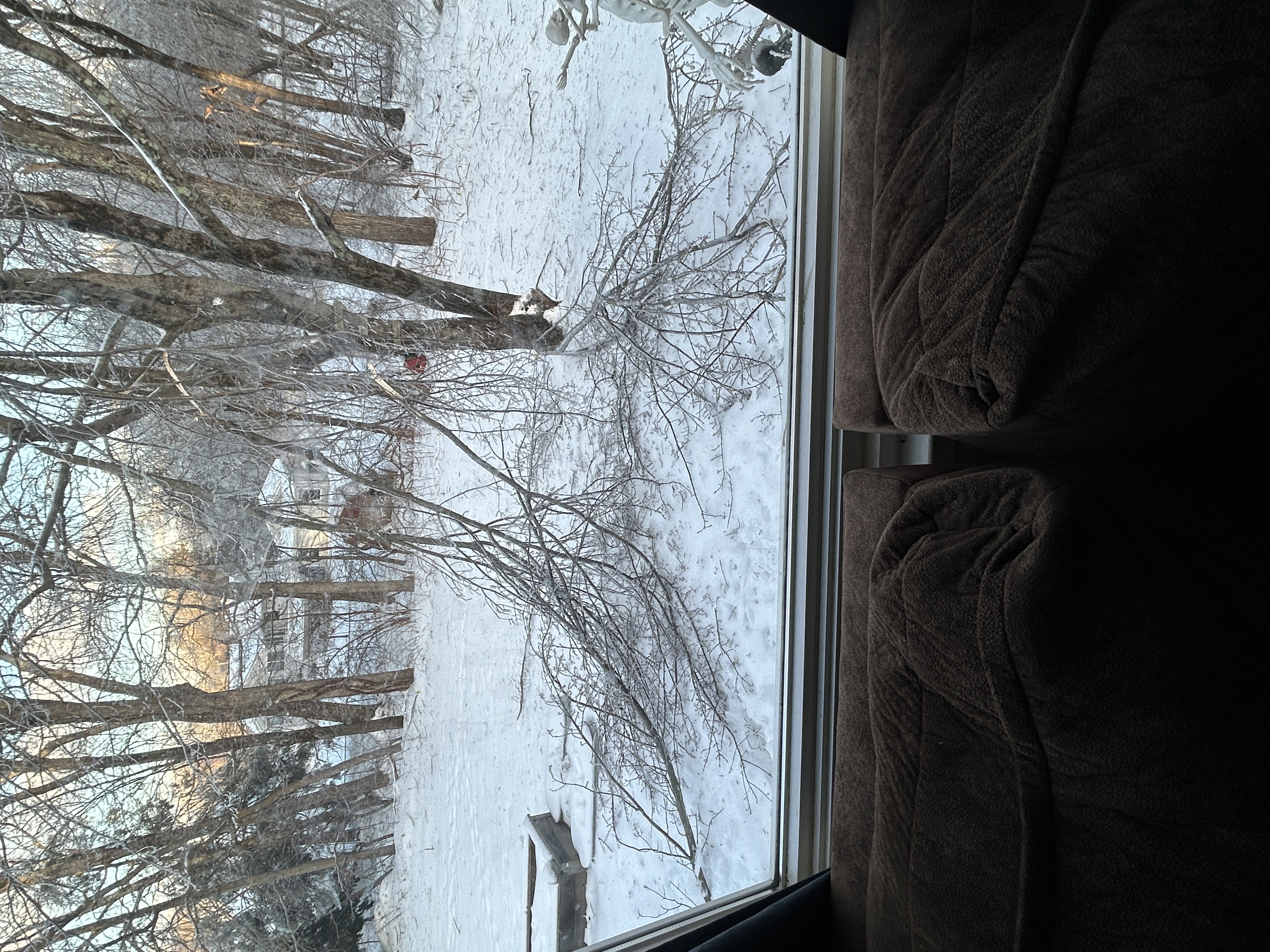 mtstuckman@aol.com's post 3