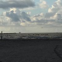 Cindy Buerger-Sherrod's profile image