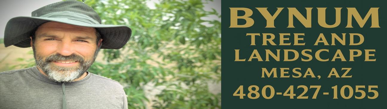 Bynum Tree and Landscape's cover image