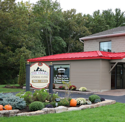The Village Animal Clinic