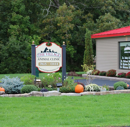 The Village Animal Clinic