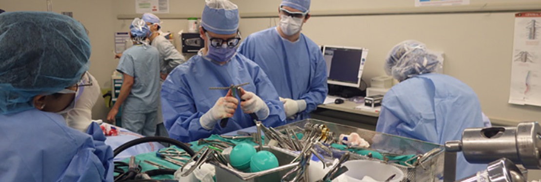 Southshore Oral Surgery's cover image