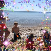 Rene Frisque's profile image