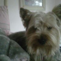 Tom Brassil's profile image