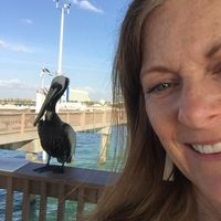 Judy Rutowski Bono's profile image