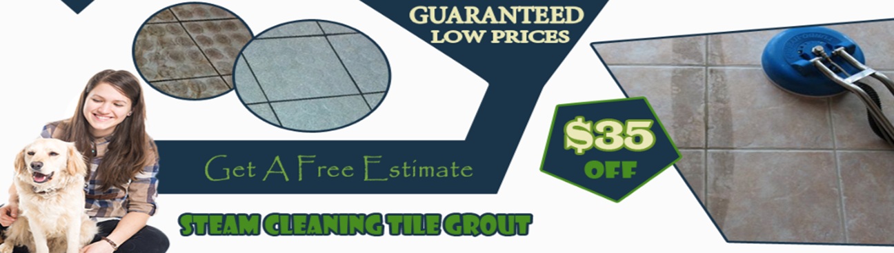 Tile Grout Cleaning Waco Texas's cover image