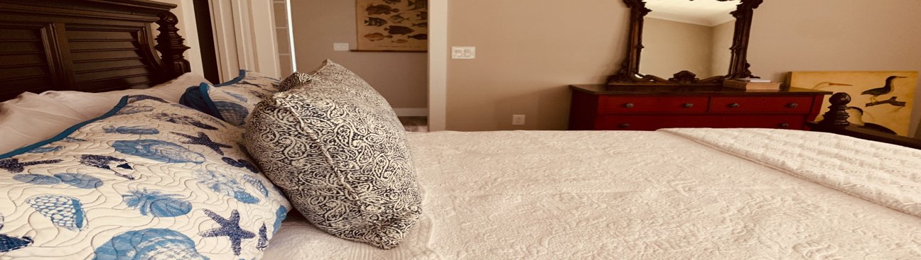 Lee Lapid Housekeeping's cover image