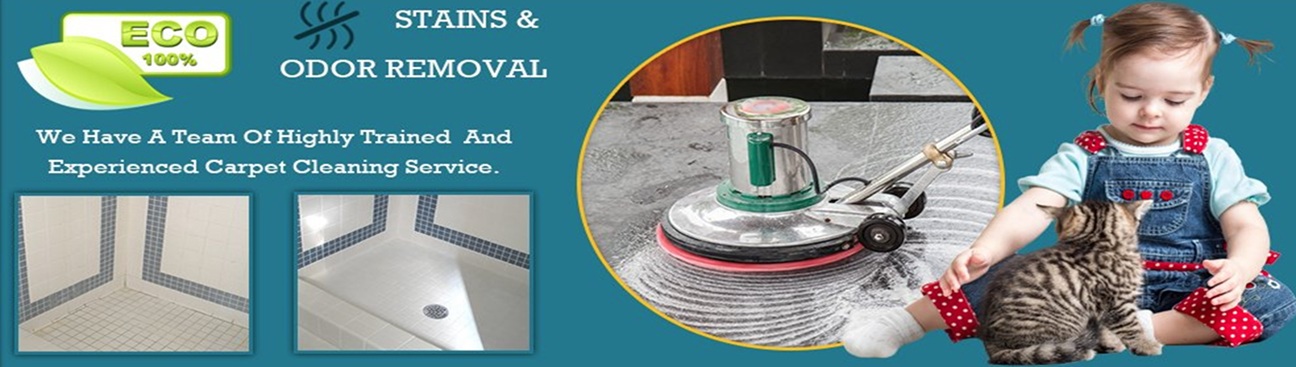 Tile Grout Cleaning Bedford TX's cover image