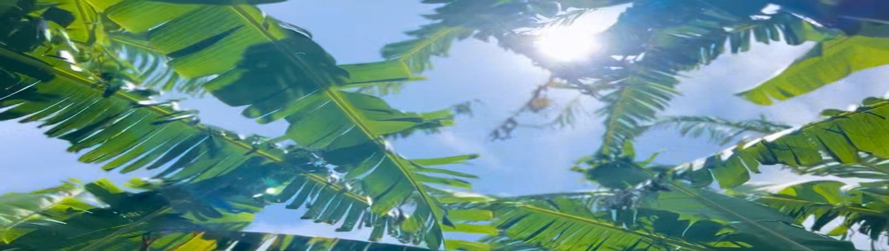 Sugar Beach Ranch's cover image