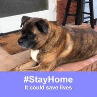 Ron D Brundige's profile image