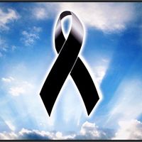Milton Moreno's profile image
