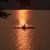 Donna Leitner's profile image