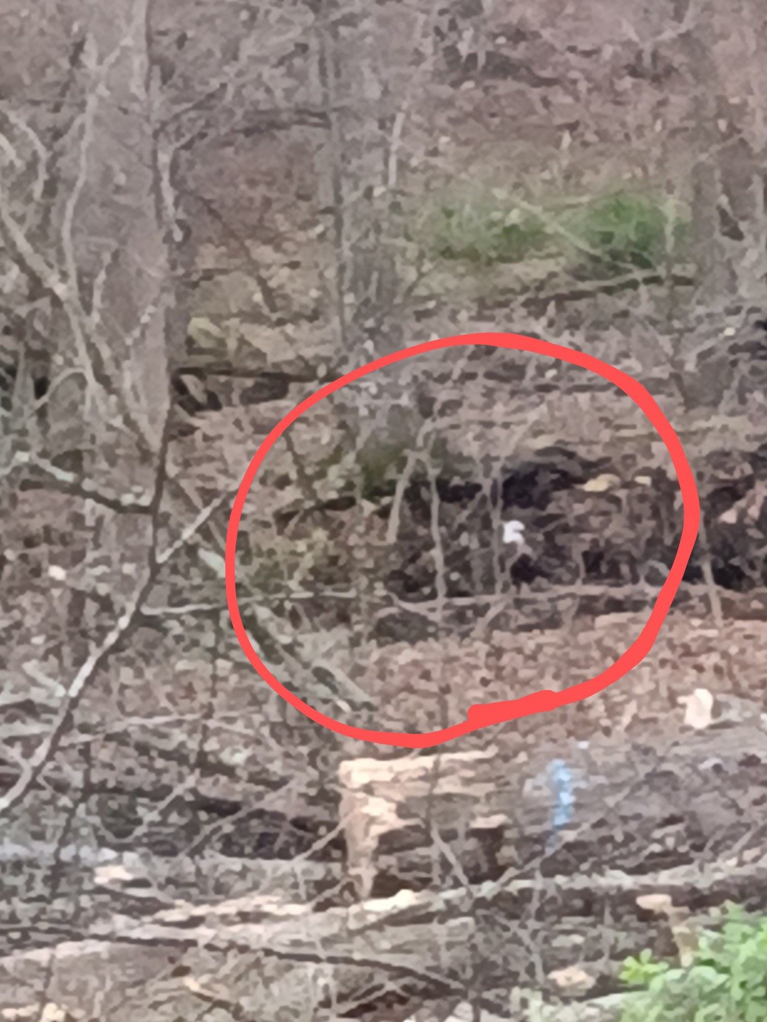 Adrienne B.'s post 1