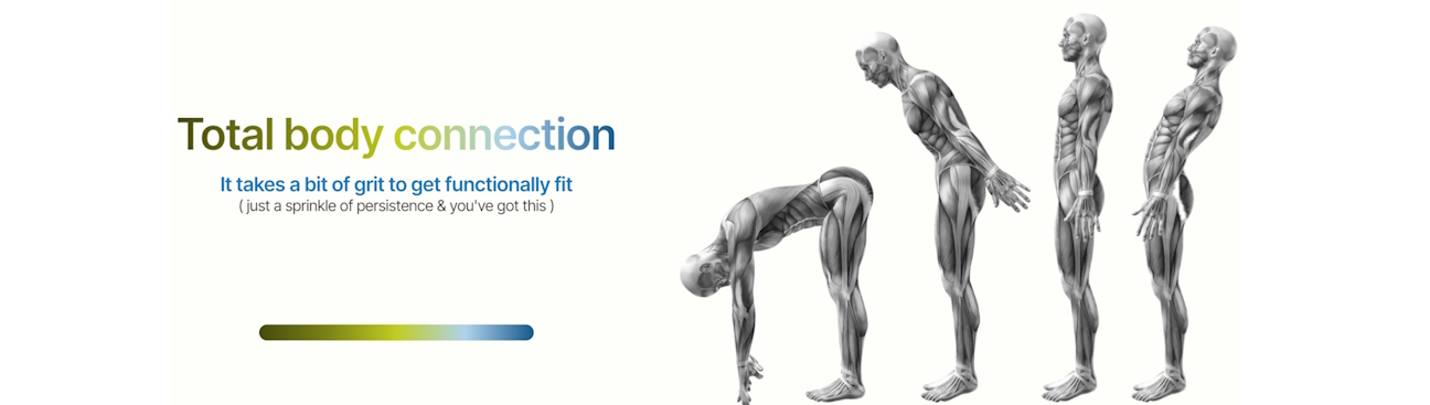 Medical Fitness Pros's cover image