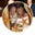 Nikki's profile image
