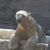 Mark Roberts's profile image