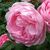 Linda Rodriguez's profile image