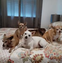 Tim McGuyer's profile image