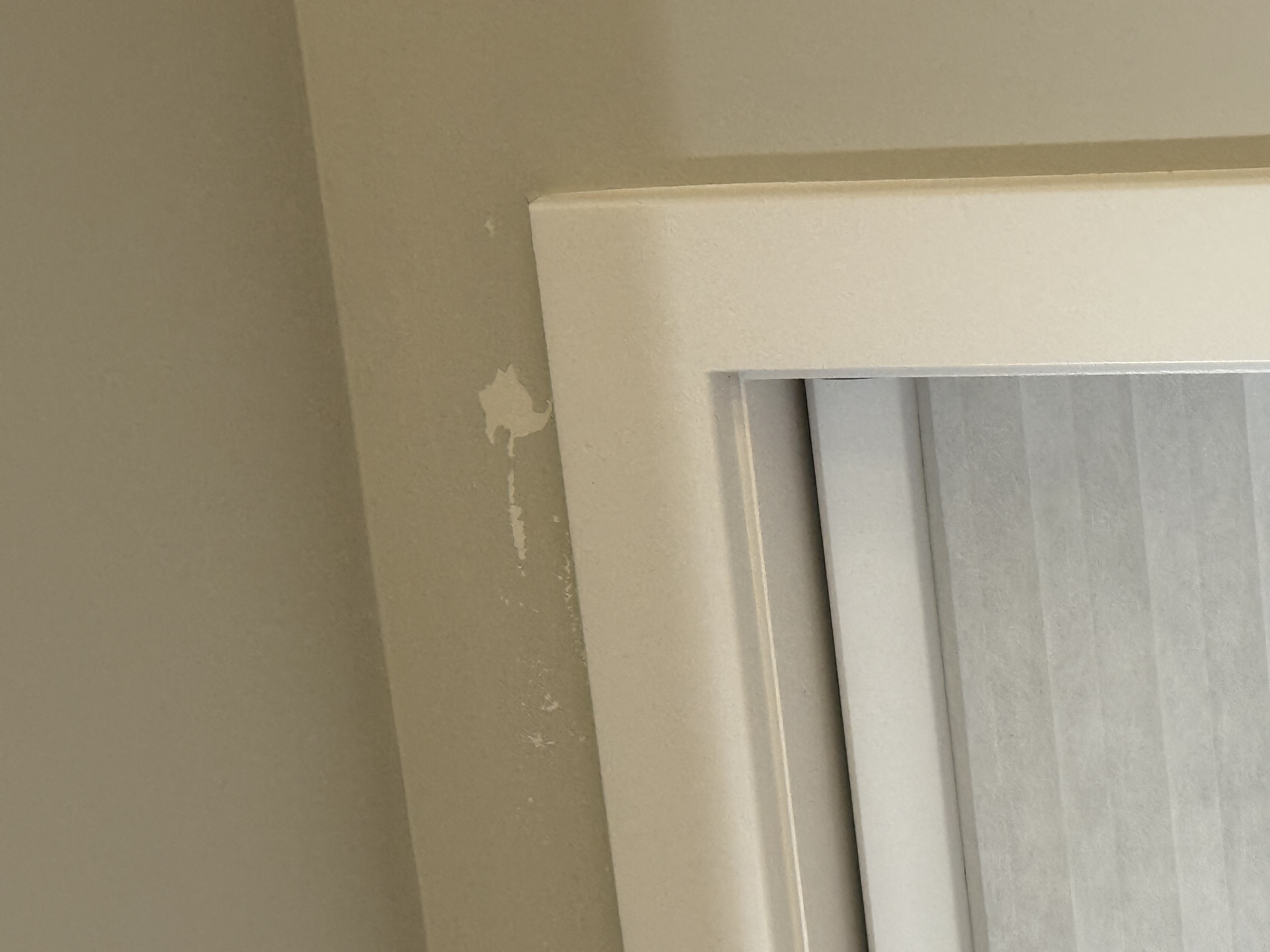 Rachelle B.'s post 2