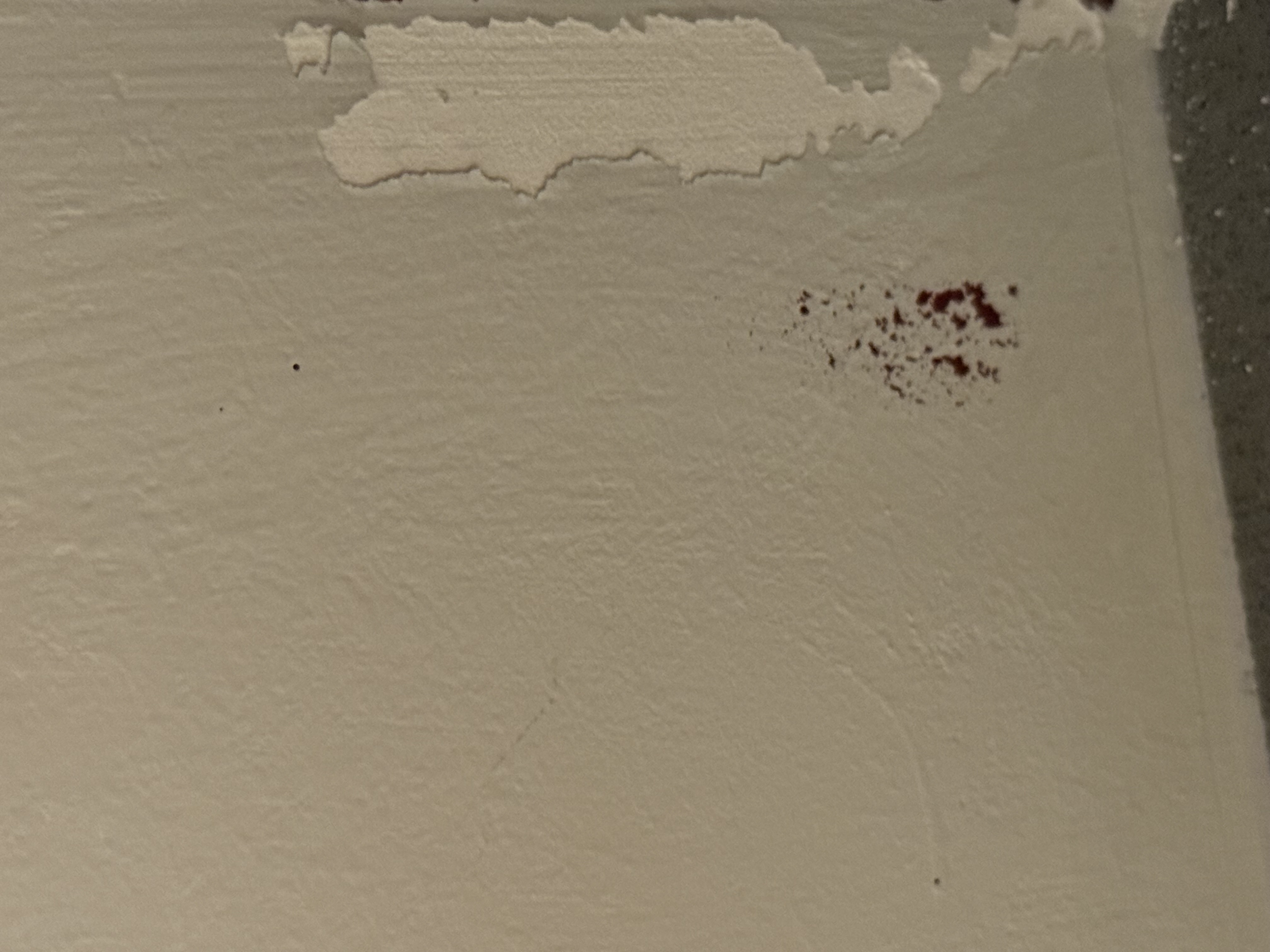 Rachelle B.'s post 1