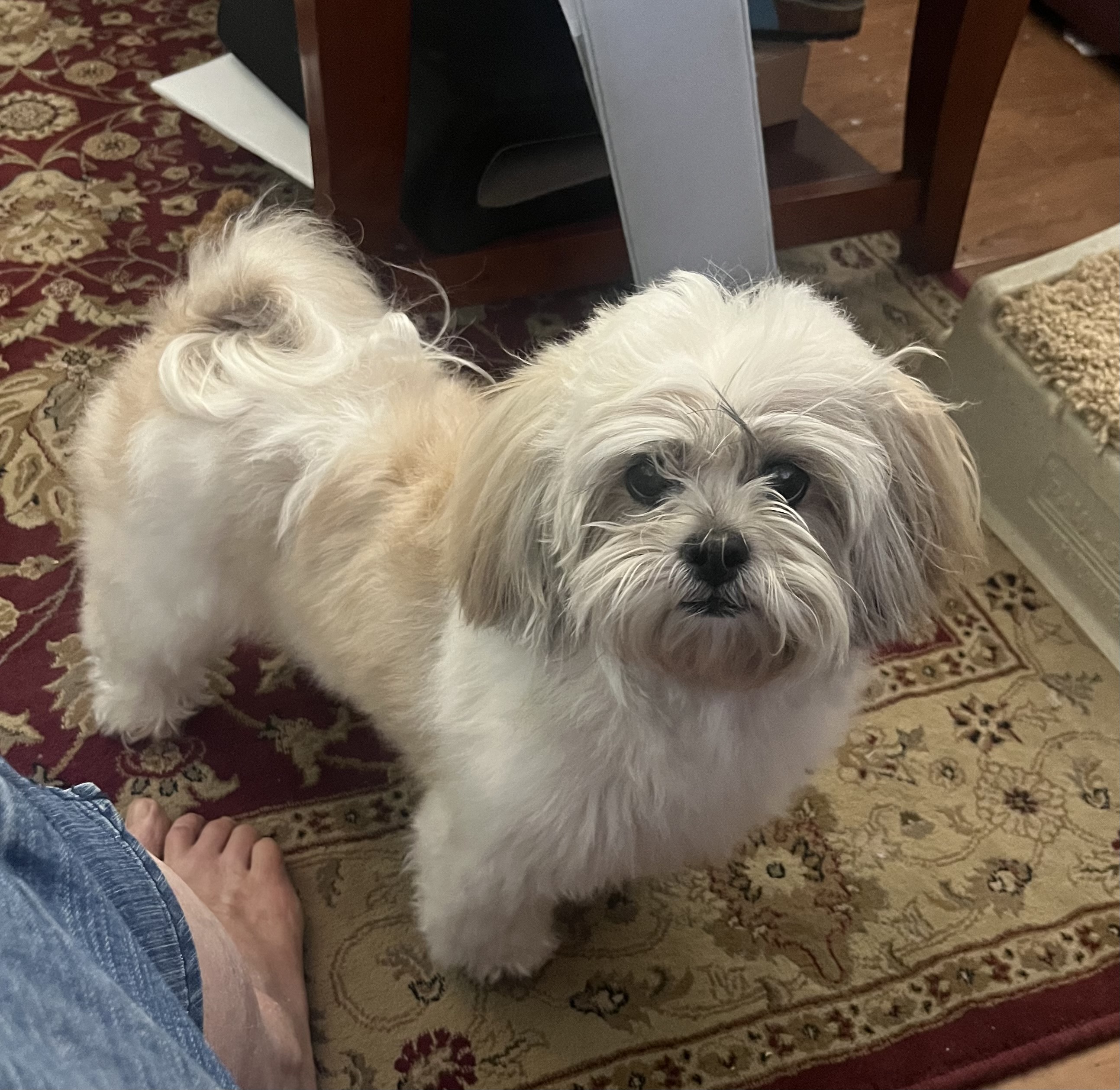 margaret T.'s post 1