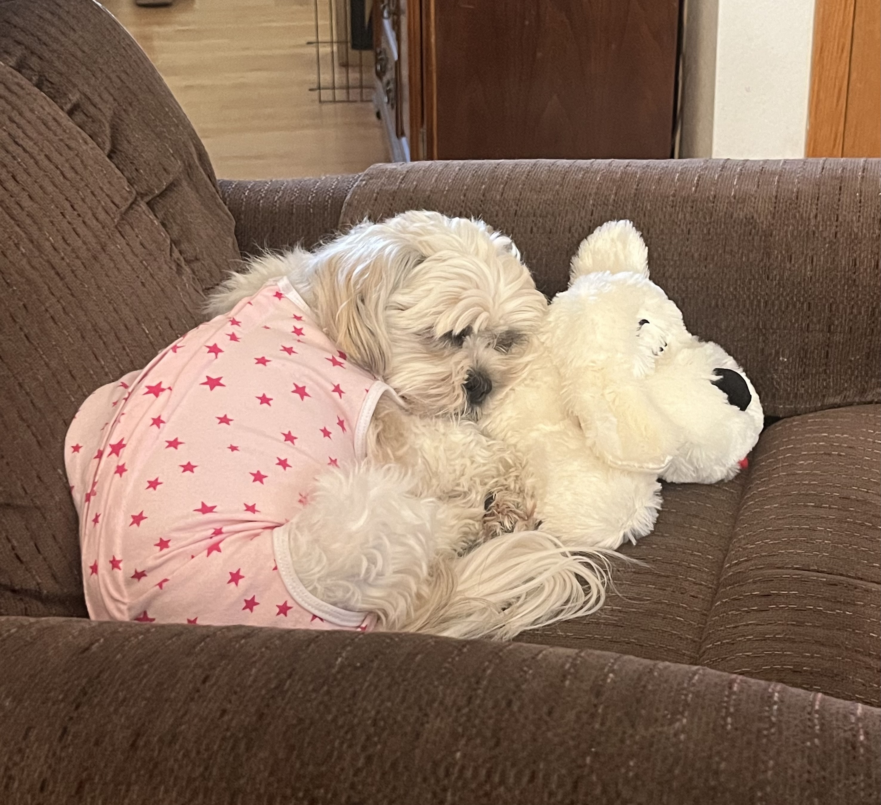 margaret T.'s post 1