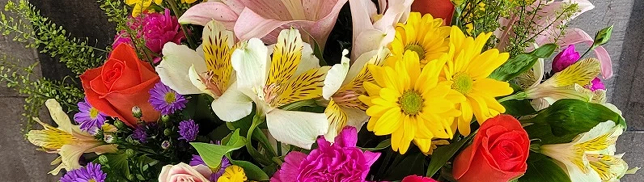 Florist At Adolfos Creation's cover image