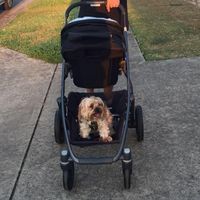 Rolando De Leon's profile image